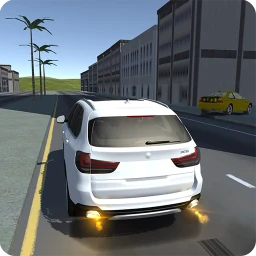 Icono de X5 M40 and A5 Simulator